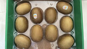 佳沛（zespri）新西兰金果10粒巨大果单果146-175g 端午节礼物水果礼盒 猕猴桃 实拍图
