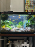 森森鱼缸增氧泵水族箱氧气泵家用小型充氧泵LQE-400 5W双孔+全套配件 实拍图