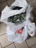 房山平菇300g 实拍图