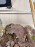 鲜京采 原切牛腱子 4斤 不含腱子芯  炖煮健身 京东自有品牌【真原切】 实拍图