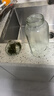 【送杯套】大容量加厚玻璃杯子便携杯茶水分离带杯套泡茶水杯 透明 1000ml吨吨桶 1只装 实拍图