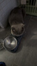 BOTH 烘焙猫粮 幼猫成猫全阶段 鸭肉梨泪痕管理 猫粮试吃200g 实拍图