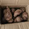 京鲜生 云南牛奶小芋头净重3斤单果40g+ 粉糯奶香现挖新鲜蔬菜源头直发 实拍图