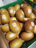 佳沛（zespri）新西兰 金果12粒特大果单果124-146g 端午节礼物水果礼盒 猕猴桃 实拍图