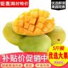 玖原农珍 源头直采凯特芒果当季现摘优选甜心芒果 新鲜水果 含箱10斤净果9斤400g+ 实拍图