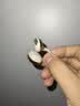金运【热销爆款丨A6灵动环】蓝牙耳机耳夹式骨传导概念开放式不入耳无线运动跑步通话降噪续航翻译 【云杏米】高保真音质丨极致舒适 实拍图