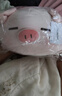 名创优品（MINISO）小猪B-BO翅膀款趴毛绒公仔玩具玩偶抱枕娃娃靠枕生日礼物女 实拍图