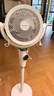 艾美特（AIRMATE）【小暴风PRO】空气循环扇家用大风力摇头电风扇卧室安静轻音小风扇桌面台式节能落地扇电扇 X231 实拍图