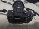 索尼（SONY）A7R5 ILCE-7RM5全画幅旗舰微单相机a7r5打鸟摄影设备  8K视频拍摄A7RM5 6100万像素双影像画质 A7R5单机身 官方标配【套餐更划算】 实拍图