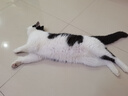 冠能猫粮7岁以上老年猫猫粮2.5kg 全价猫粮 延长健康生活时间 实拍图