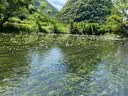 猫人睡衣男夏季冰丝短袖短裤男士新款休闲大码可外穿薄款家居服套装 【凉感冰丝】颜色一 L 【建议100-120斤】 实拍图