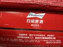 百威啤酒mini红罐淡色拉格255ml*24小罐整箱装京东自营喜酒 实拍图