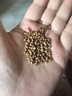 福茗源黑苦荞茶黑珍珠苦荞茶500g富含黄酮高膳食纤维天然谷物大凉山养生 实拍图