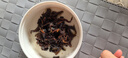 滇园（dianyuan）油鸡枞菌500g 云南特产即食菌蘑菇 休闲零食下饭菜鸡枞油调味酱料 实拍图