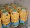 金豆芽儿童金银花柚子汁155ml*16瓶夏天孩子饮料宝宝果汁西柚汁 实拍图