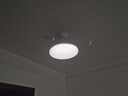 雷士（NVC）LED照明风扇灯一体吊扇灯餐厅卧室简约三防全光谱1级能效36寸 实拍图