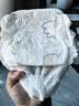 京东京造婴儿拉拉裤尿不湿纸尿裤Cloud2.0云柔L36片(9-14kg)超薄透气干爽 实拍图