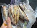 三都港 冷冻海捕小黄鱼700g 24-29条 黄花鱼 深海鱼 生鲜 鱼类 烧烤食材 实拍图