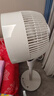 艾美特（AIRMATE）【天鹅MAX】空气循环扇直流变频家用大风力电风扇卧室轻音一级能效负离子净化语音落地扇 SRDI151 实拍图