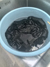 小林康夫黑色衣服染色剂褪色修复还原剂固色增艳剂衣物染料免煮不掉色套装 实拍图