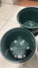墨斗鱼花盆加仑盆加厚矮款2加仑*3件多肉绿萝月季盆栽树脂塑料简约托盘 实拍图