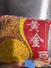 昙蓓漫抽水泵小型迷你家用积水抽水泵开槽切割机水钻开孔微形自吸潜水泵 抽水泵【水管3米+底吸加重铜头】 动力强劲,5V低压安全稳定 实拍图