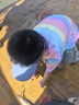 豆柴（docile）冻干四拼狗粮无谷冻干粮全年龄段全品种幼犬成犬10kg 实拍图