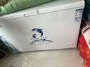 澳柯玛（AUCMA）307升单温冷柜家用减霜大冰柜 冷藏柜冷冻柜转换卧式冰箱雪糕 柜一级能效BC/BD-307HNE【价保618】 实拍图