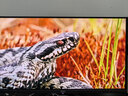 AOC 27英寸4K165Hz Gen.3五层堆叠QD-OLED 第五代BlackAGLR涂层 抗反射抗眩光更黑 电竞显示器U27G4D 实拍图