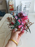 威尔基干花材料手工diy制作松果材料包永生花装饰真干果树叶天然植物叶 混色干花花材盒【随机一盒装】 实拍图