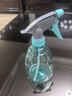 喷壶浇花浇水喷雾器气压式喷水壶家用园艺养花500ml 南瓜喷壶透蓝【1个装】 实拍图