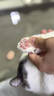 先锋（SINGFUN）宠物剃毛器猫咪专用剃脚毛器静音狗狗脚毛修剪器宠物店局部推子小猫猫爪一体机电推剪【价保618】 实拍图