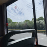 babycare山茶花一次性内裤女孕产妇日抛待产出差旅行M码15条【 安全灭菌】 实拍图