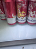 百威【梅西同款】经典红罐啤酒450mL 18罐整箱装喜宴端午送礼 实拍图