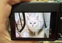 松下ZS99 （Panasonic）便携式长焦数码口袋相机 黑色 实拍图
