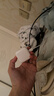 Apple/苹果 40W type-c快充充电器 苹果usb-c原装充电头 旗舰店新款苹果iPhone 17 Pro Max充电器 实拍图