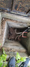 米其林静音新无骨雨刷器雨刮器12-16现代ix35桑塔纳逍客哈弗H6 24/16 U 实拍图