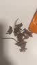 乐畅广西大红八角100g 无硫熏无农药残留 香料茴香大料调味料炖卤肉料 实拍图