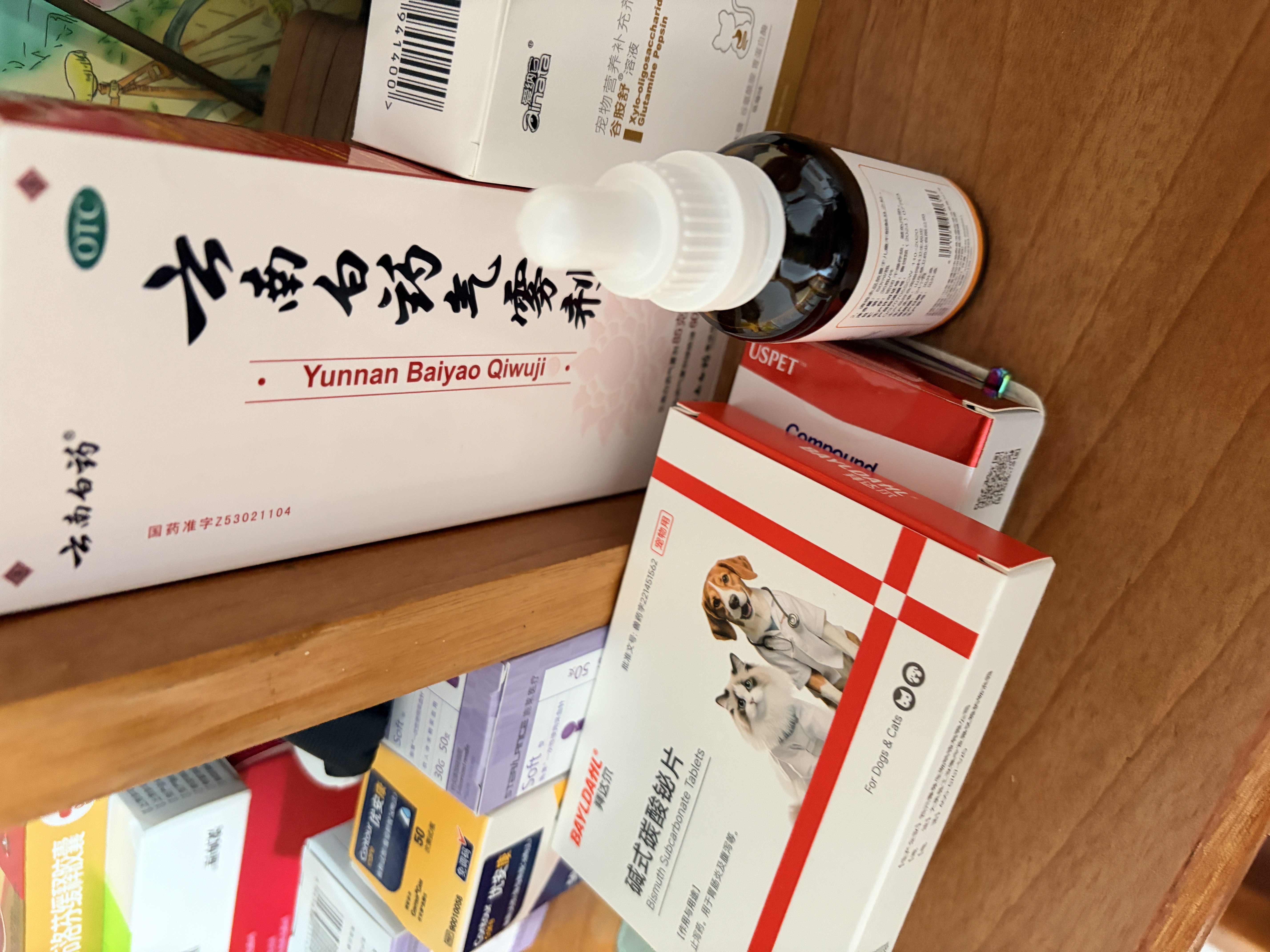 爱纳它贝肠宁猫咪益生菌狗狗猫拉稀宠物肠胃调节犬猫通用宠物营养补充剂 实拍图