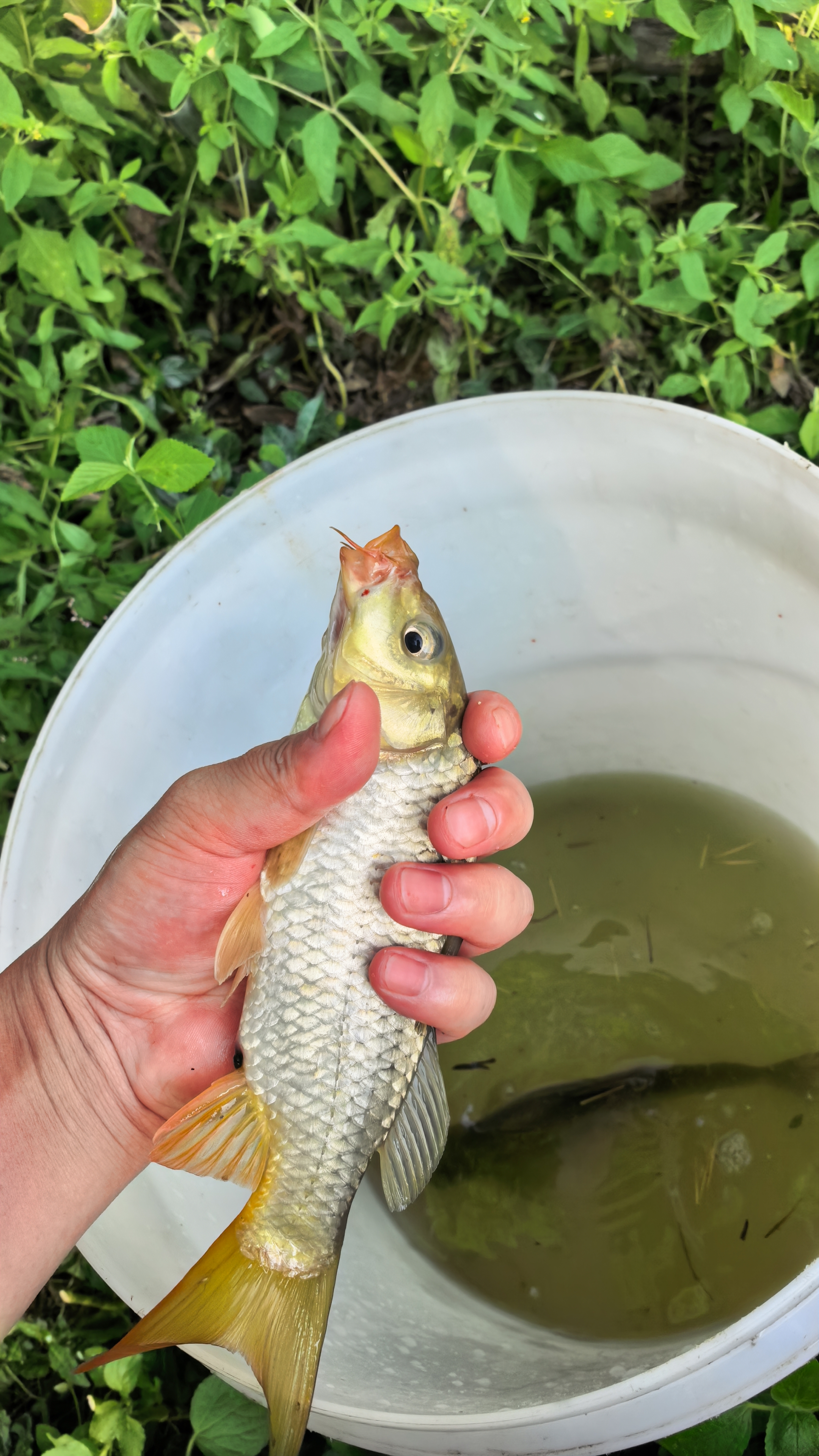 川泽鱼竿缠把带加厚防滑吸汗防水防电钓竿龙骨手把带缠绕鱼杆PU握把带 1.5米-中国红【PU+EVA记忆龙骨】 1条装【防滑耐磨】 实拍图
