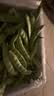 辰实【发顺丰】东北新鲜油豆角 九月青油豆角 开锅烂蔬菜农家特产 5斤 油豆角(优选)推荐 实拍图