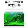 疯狂水草鱼缸二氧化碳水草缸造景水草植物二氧化碳发生器CO2水草用品200片 实拍图