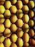 佳沛（zespri）新西兰金果10粒巨大果单果146-175g 端午节礼物水果礼盒 猕猴桃 实拍图