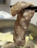 恒都 澳洲厚切肥牛肉片900g 静腌牛肉 煎烤涮炒 火锅食材 实拍图