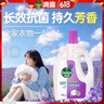 滴露（Dettol）衣物消毒液除菌柠檬3L 99.9%杀菌除螨内衣儿童衣服消毒水配洗衣液 实拍图
