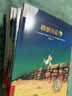 不一样的卡梅拉第一季注音版1-20 (套装20册)我想去看海/想有颗星星/有个弟弟/找回太阳/爱小黑 3-6岁亲子阅读6-9岁自主阅读经典畅销儿童绘本幼儿园大班一年级绘本课外阅读书籍 儿童年货节送礼 实拍图