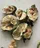 贡苑苦瓜干片250g 冻干锁鲜无添加 花草茶苦瓜茶 泡茶熬夜茶 实拍图