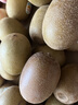 佳沛（zespri）新西兰金果巨大果22粒原箱单果146-175g 端午礼物水果礼盒 猕猴桃 实拍图