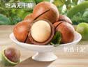 三只松鼠大颗粒夏威夷果500g罐装 坚果炒货干果休闲零食送礼一斤装 实拍图