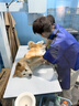 皇家狗粮 幼犬狗粮 犬粮 通用犬型 A3 通用粮 2-12月 8KG 实拍图